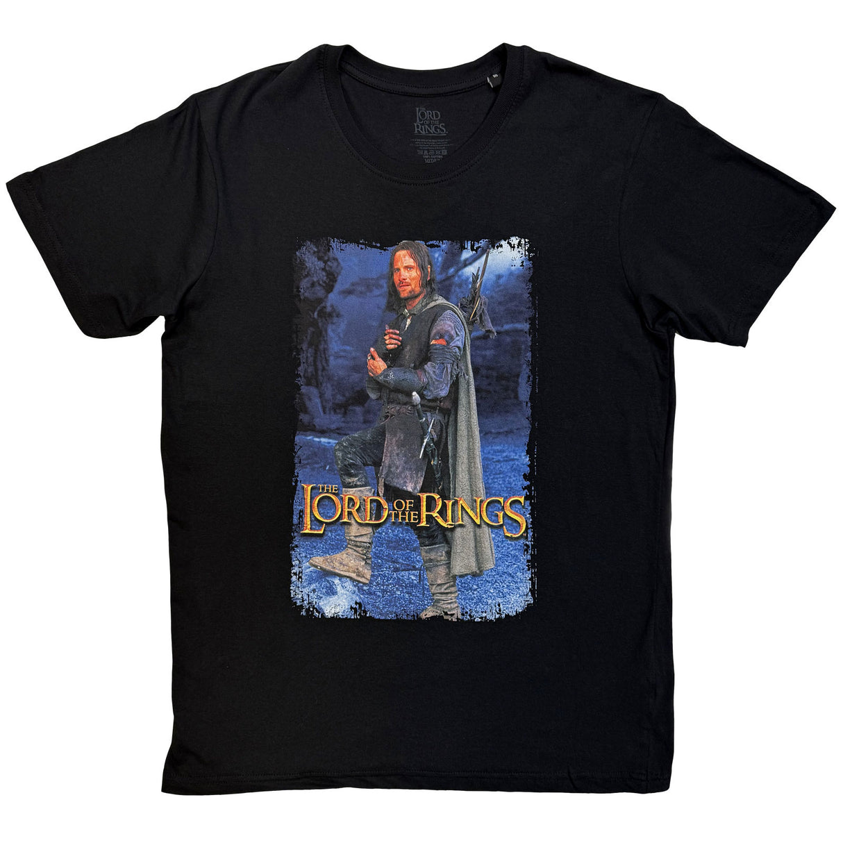Lord Of The Rings Unisex T-Shirt Aragon Standing Homage Black (S)