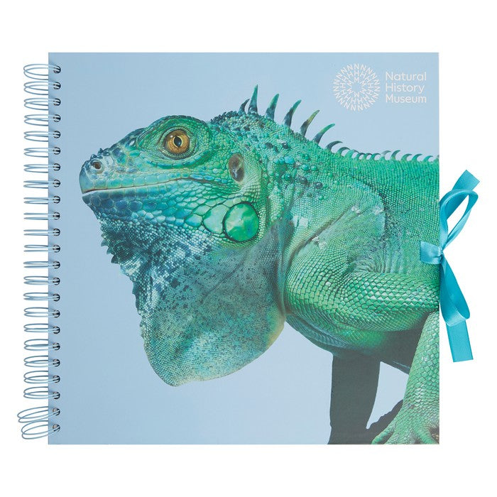 Natural History Museum 12" Scrapbook - Iguana