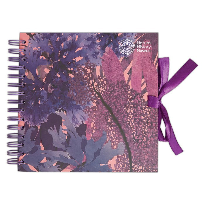 Natural History Museum 8" Scrapbook - Seaweed