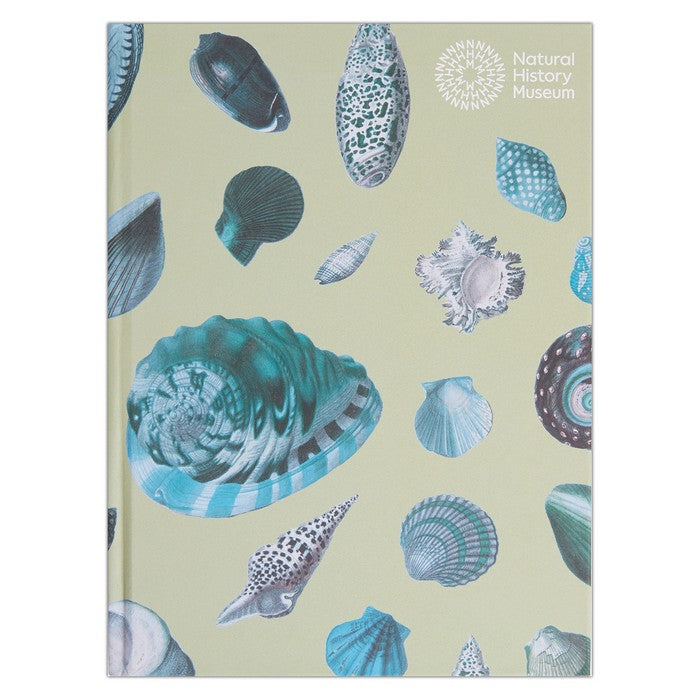 Natural History Museum A5 Hardback Sketchbook - Shells