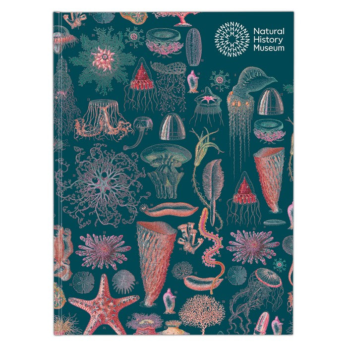 Natural History Museum A5 Hardback Sketchbook - Underwater
