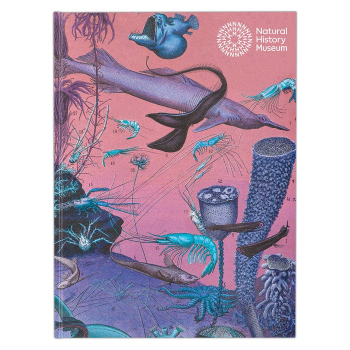 Natural History Museum A5 Hardback Sketchbook - Sealife