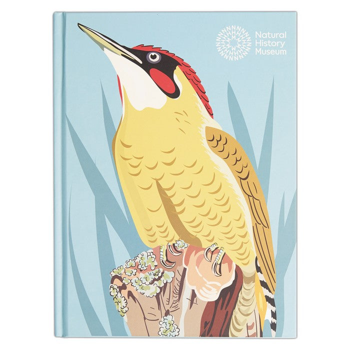 Natural History Museum A5 Hardback Sketchbook - Woodpecker