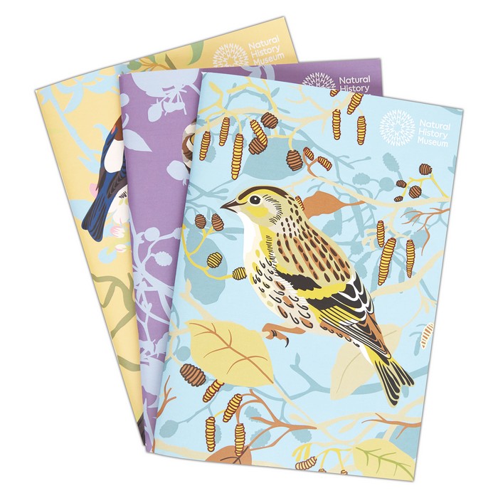 Natural History Museum A5 Sketchbook - British Birds (3pk)