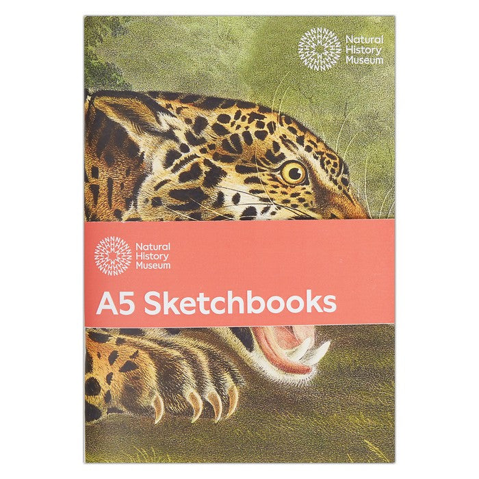 Natural History Museum A5 Sketchbook - Big Cats (3pk)