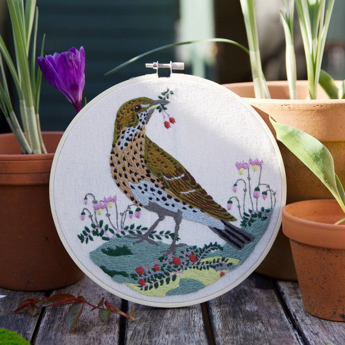 Natural History Museum 8" Embroidery Kit - Song Thrush