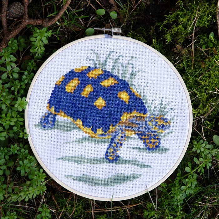 Natural History Museum 5" Cross Stitch Kit - Tortoise