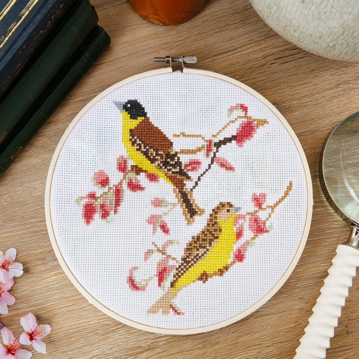 Natural History Museum 5" Cross Stitch Kit - Buntings