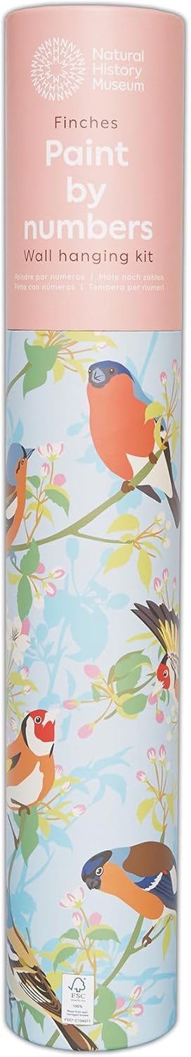 Natural History Museum Paint By Numbers 50cm x 40cm - Garden Birds