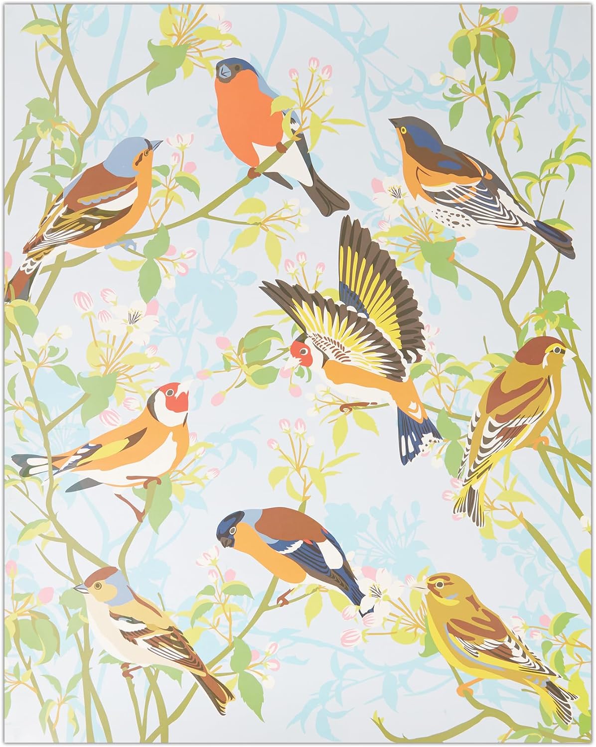 Natural History Museum Paint By Numbers 50cm x 40cm - Garden Birds