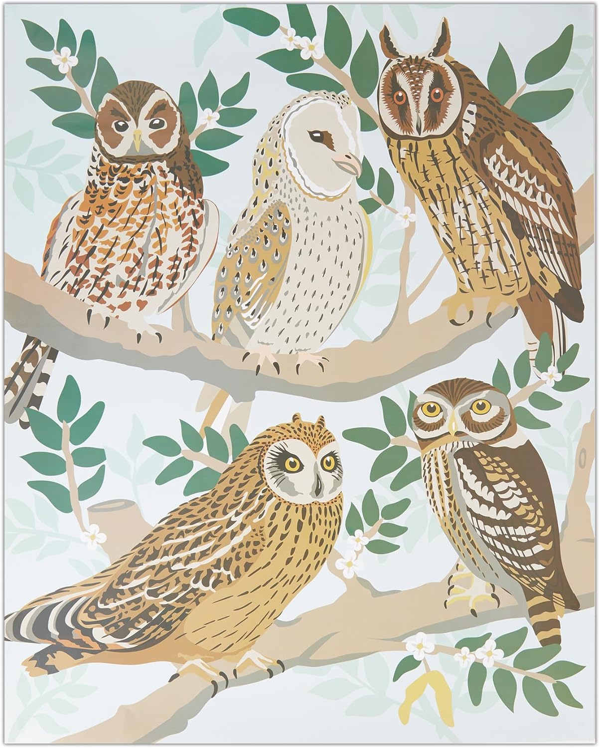 Natural History Museum Paint By Numbers 50cm x 40cm - Owls