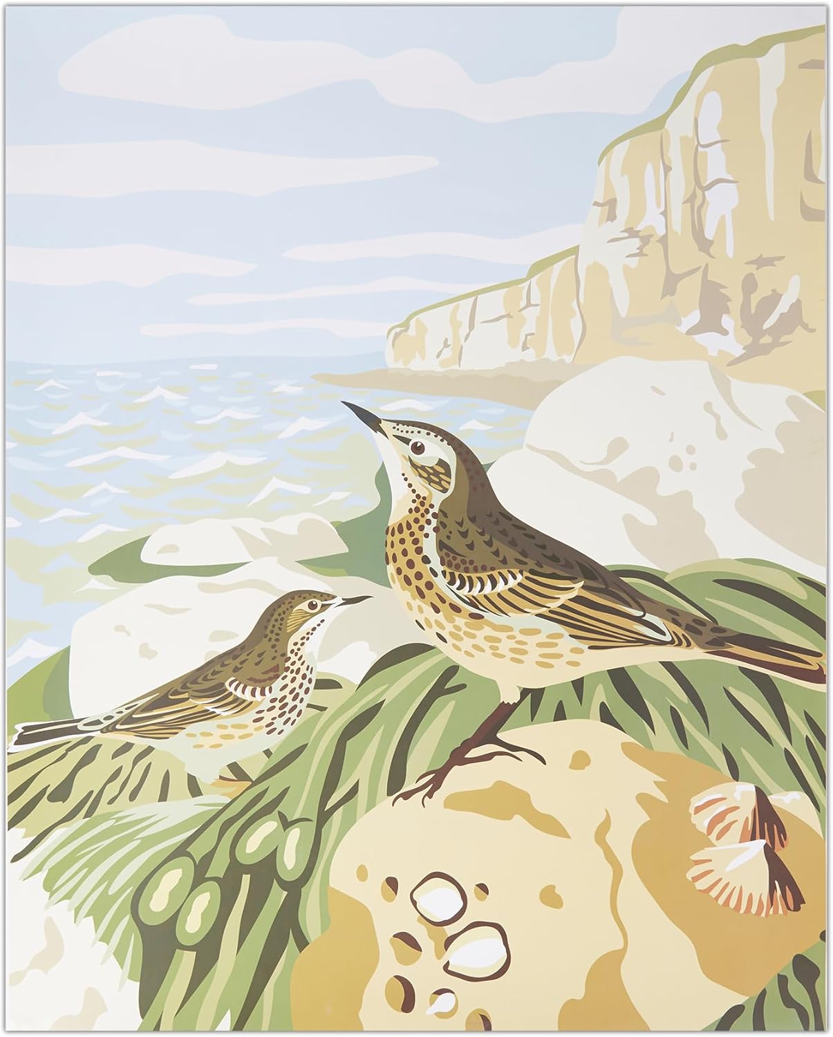 Natural History Museum Paint By Numbers 50cm x 40cm - Rock Pipit