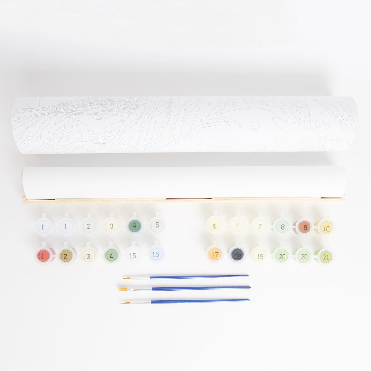 Natural History Museum Paint By Numbers 50cm x 40cm - Rock Pipit