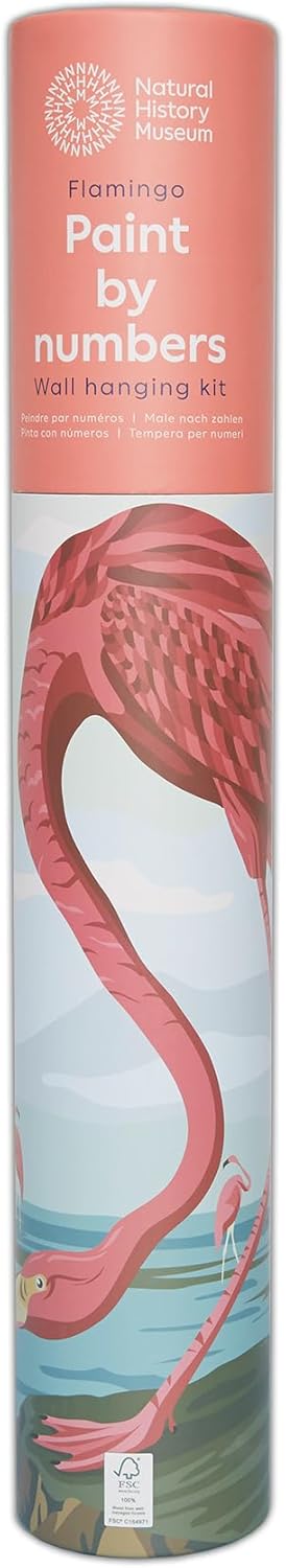 Natural History Museum Paint By Numbers 50cm x 40cm - Flamingo