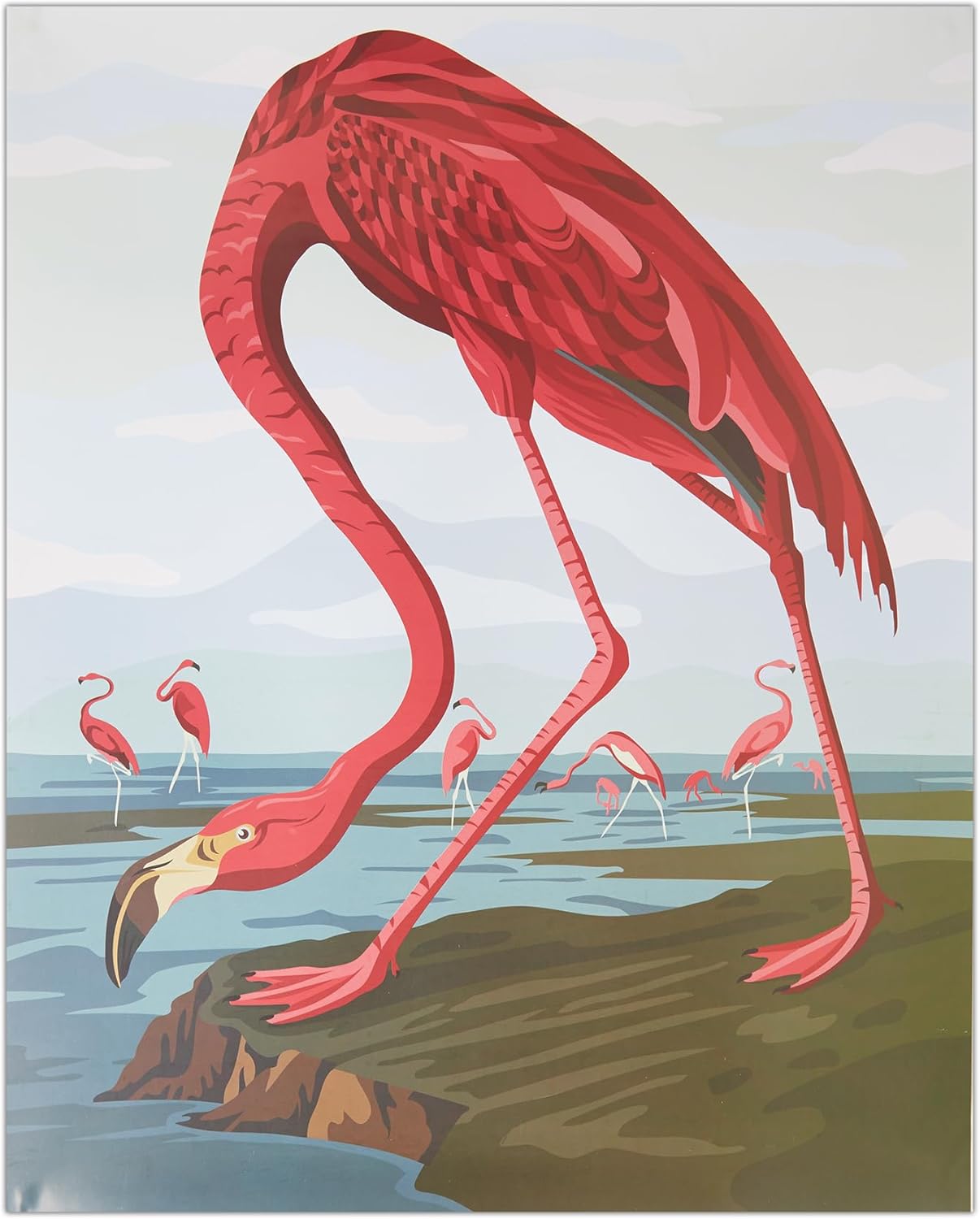 Natural History Museum Paint By Numbers 50cm x 40cm - Flamingo