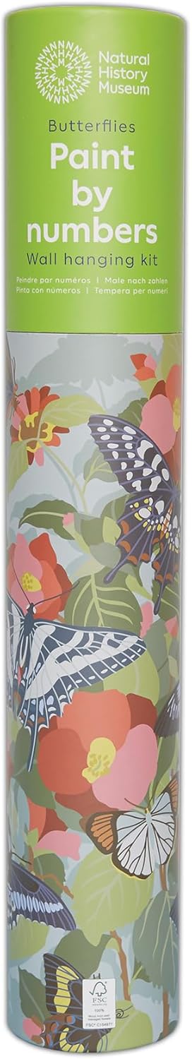 Natural History Museum Paint By Numbers 50cm x 40cm - Butterflies