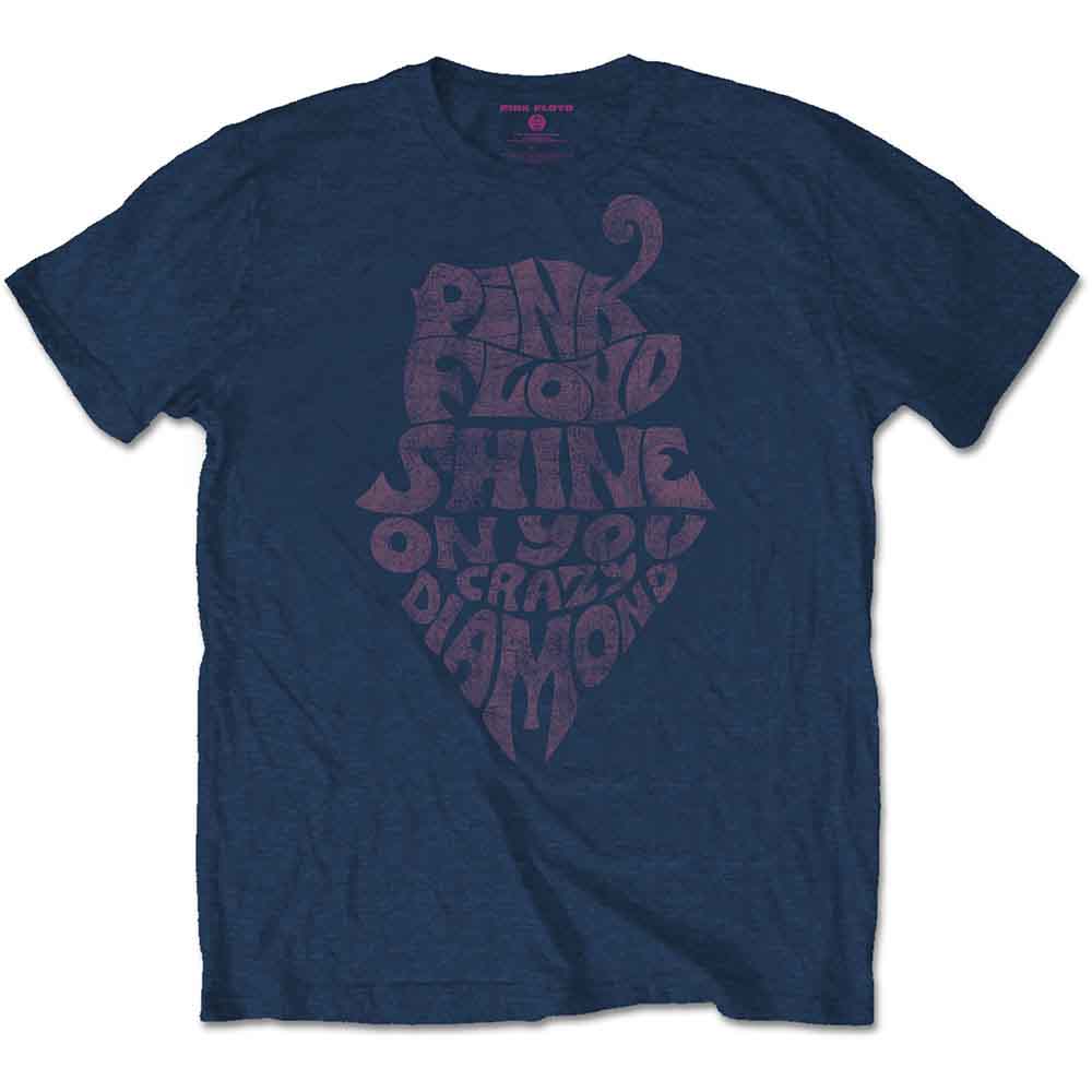 Pink Floyd Men's T-Shirt SOYCD Vintage Natural (L)