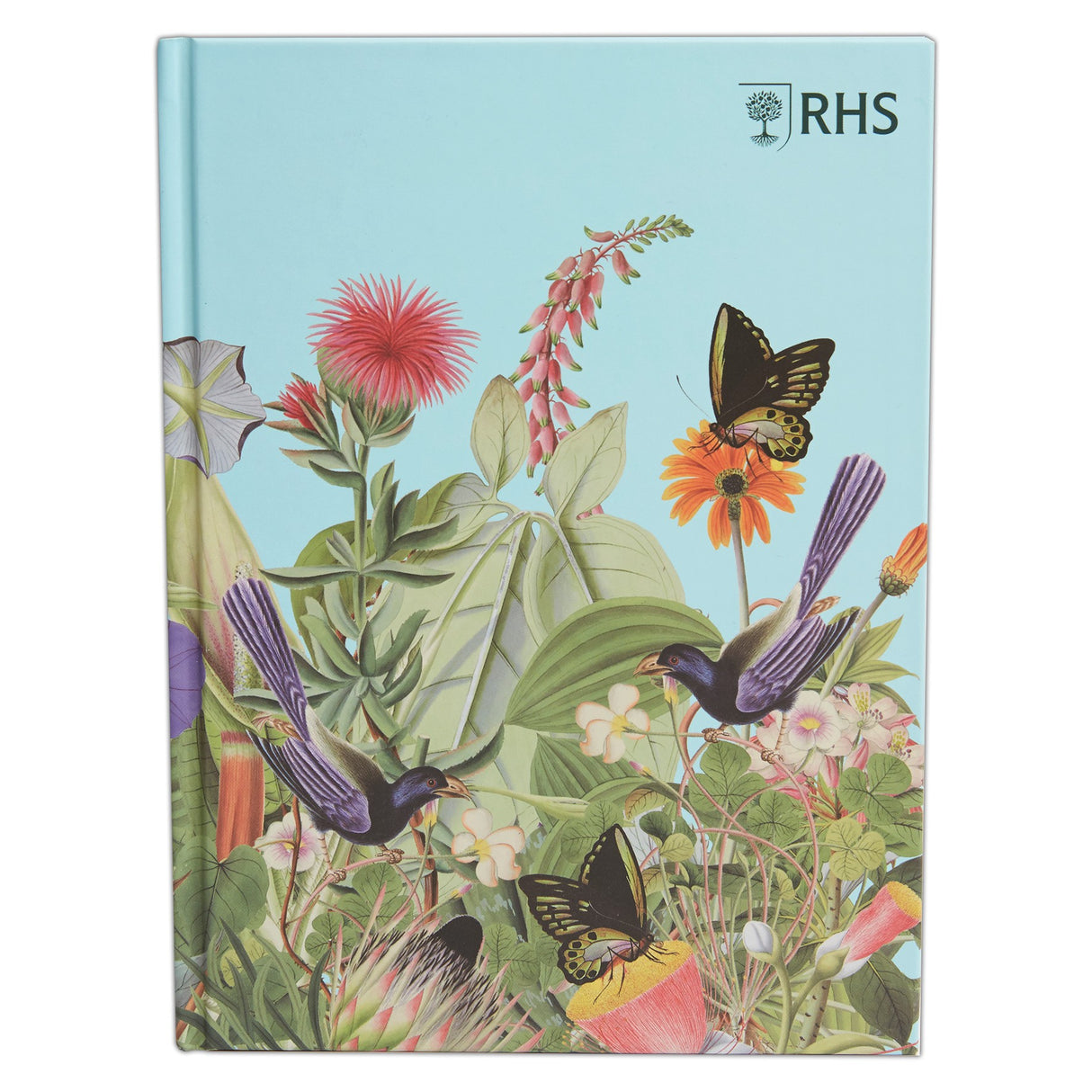 RHS A5 Sketchbook 110gsm 80sht- Bird Scene