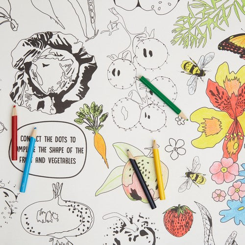 RHS Colouring Roll - Bugs and Blooms