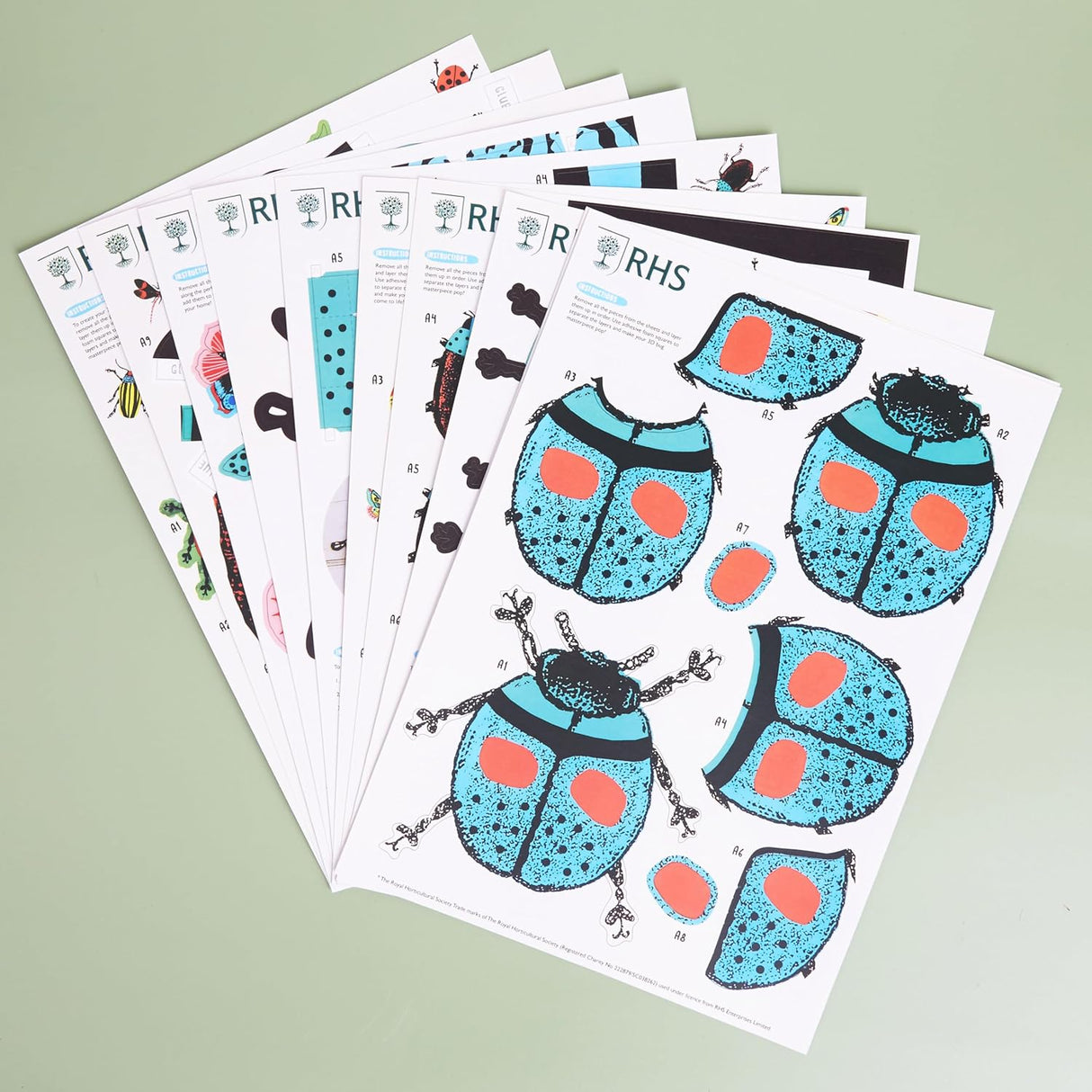 RHS Make Your Own 3D Bugs