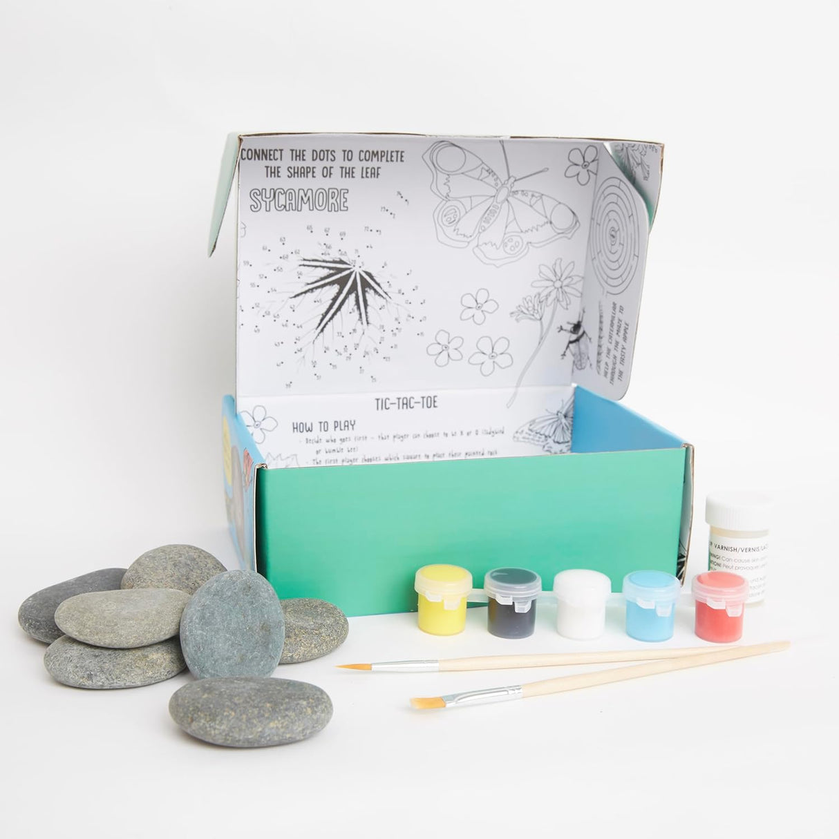 RHS Rock Painting Kit - Bugs