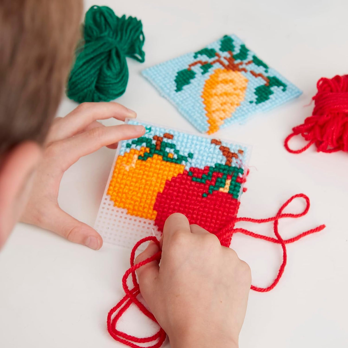 RHS Mini Cross Stitch - Home Grown