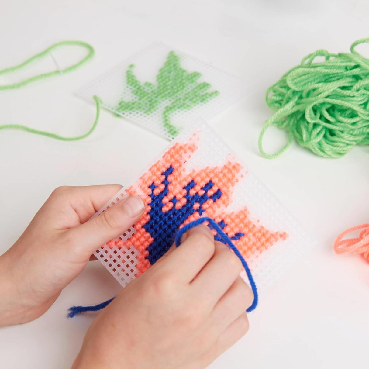 RHS Mini Cross Stitch - Leaves