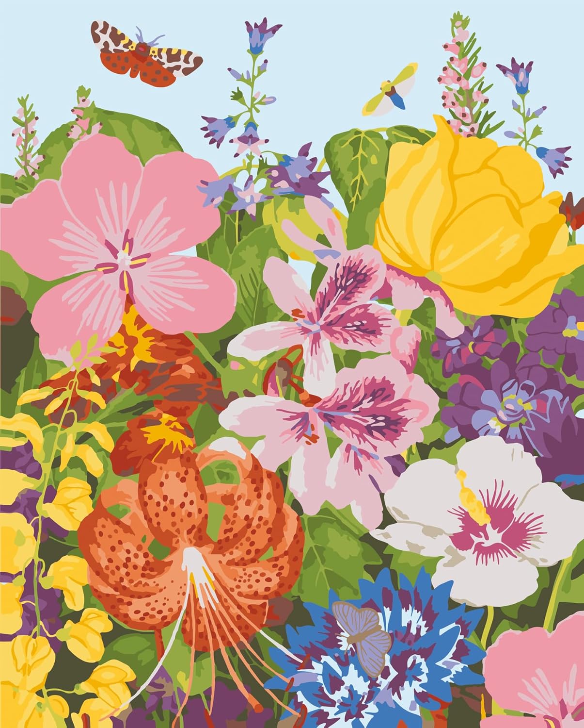 RHS Paint By Numbers 50cm x 40cm - Meadow