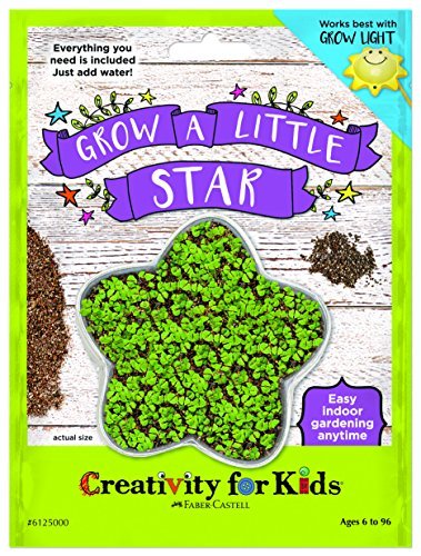 Creativity for Kids Grow a Little Star