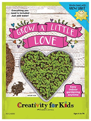 Creativity for Kids Grow a Little Love