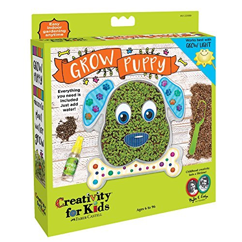 Creativity for Kids Grow Your Own Puppy
