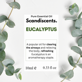 Scandiscents Essential Oil 10ml - Eucalyptus