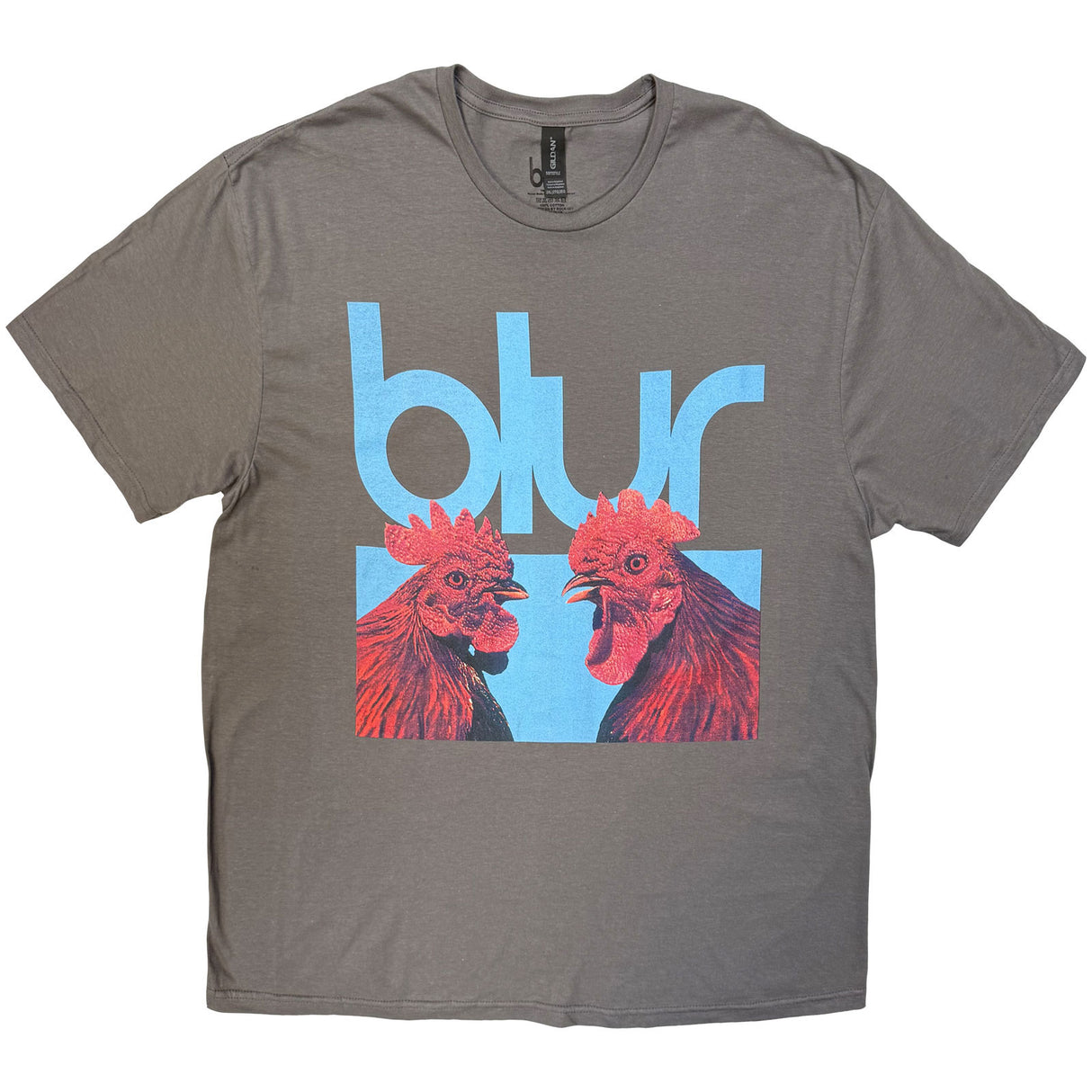 Blur Unisex T-Shirt Hens Teeth Charcoal Grey (XXL)