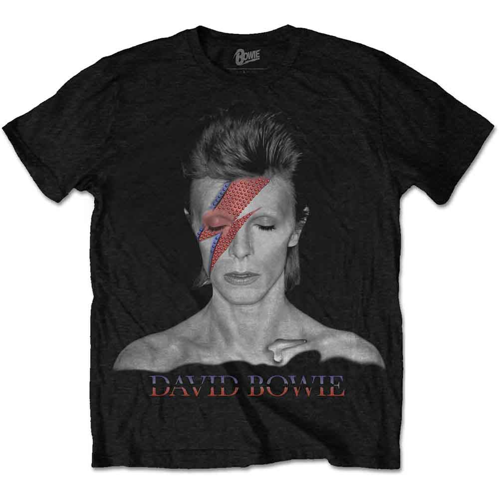 David Bowie Men's T-Shirt Aladdin Sane Black (M)