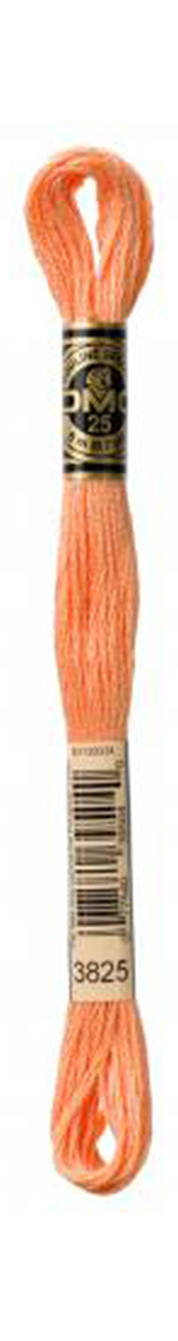 DMC Mouline Stranded Cotton Embroidery Thread 8m Skein - Pale Pumpkin (3825)