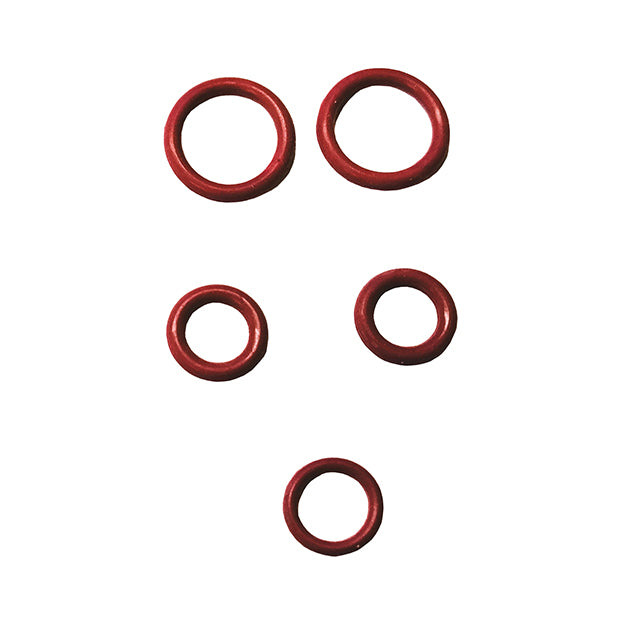 Ewbank EWS0035 'O' Rings (2xLarge/1xMedium/1xSmall) for SC1000