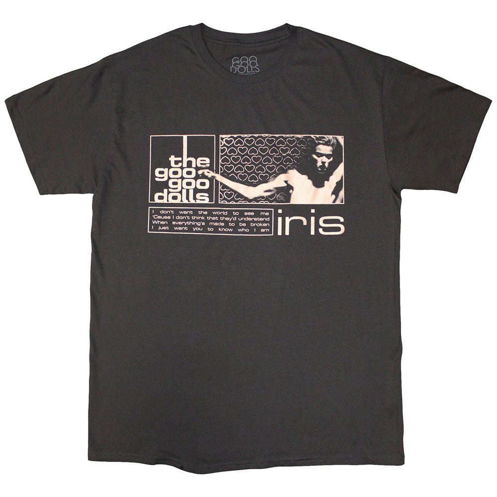 The Goo Goo Dolls Unisex T-Shirt Iris Charcoal Grey (XL)