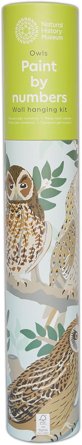 Natural History Museum Paint By Numbers 50cm x 40cm - Owls