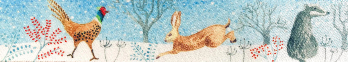 Berisfords Ribbon 25mm x 20m Winter Wonderland Sky Blue & Multicoloured (1pc)