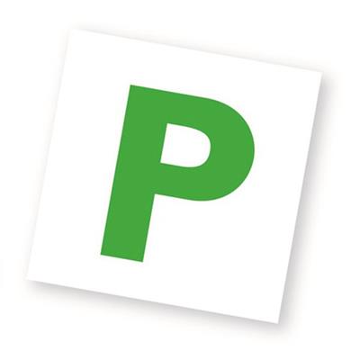 Blick Self Adhesive Labels Provisional Plates Green (2pc)