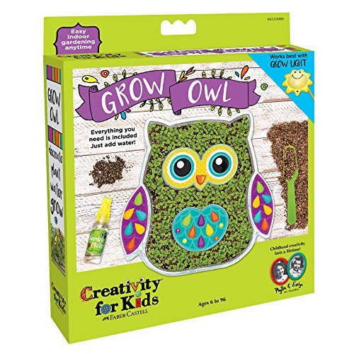 Creativity for Kids Grow Your Own Owl